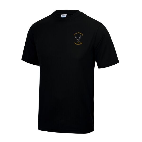 No 2 C-UAS Wg HQ Tech T-Shirt With Personalised Name Thumbnail